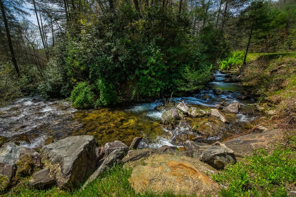 Gumbottom Creek, which merges with the Thompson River on the property.