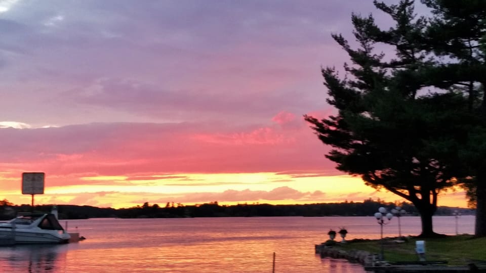 d801266d-8d64-4a03-a965-3a54563ff669