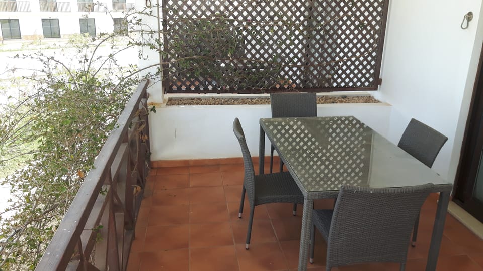 the large balcony 