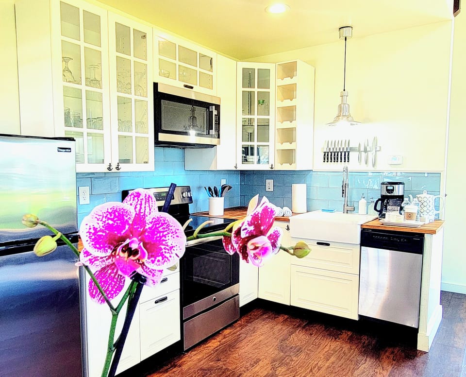 Kitchen Orchid