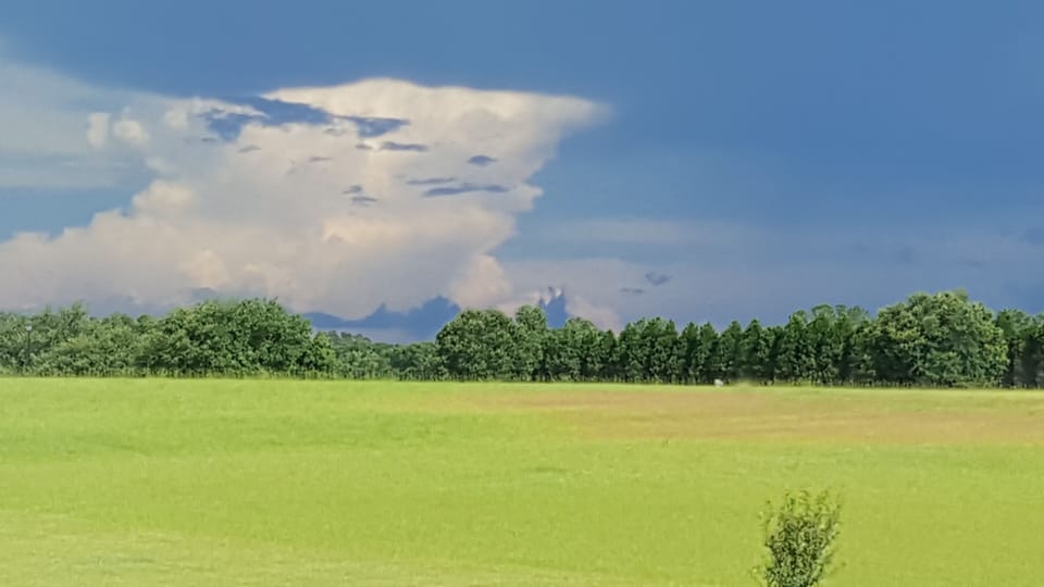 We love our big sky views.   