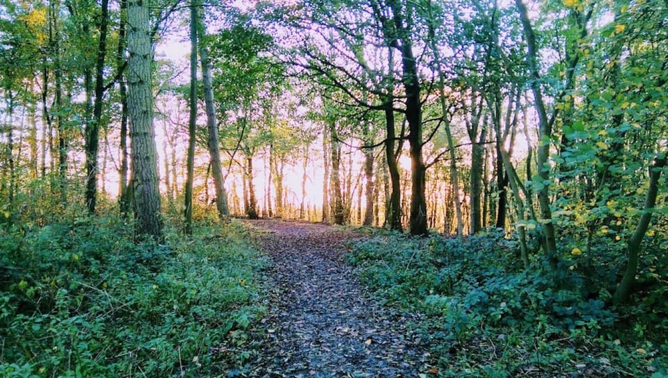 Two woods within easy walking distance