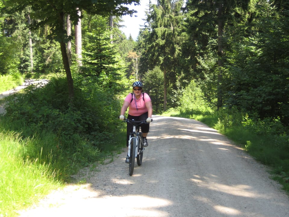 2 vacation apartments - with heart / at the Geißkopf MTB-Bikepark-Fam.Trailpark! Apartment in Bavaria