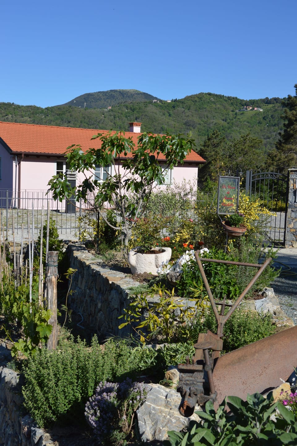 the house and a part of the garden