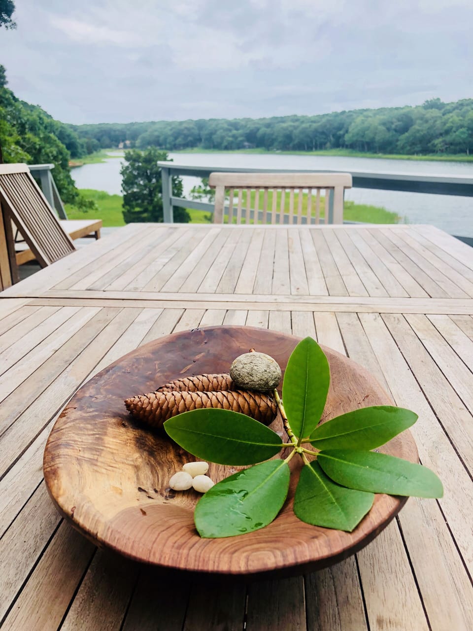 From the outdoor dining table 