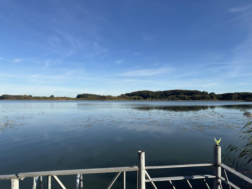 View from Holiday Home [summer]