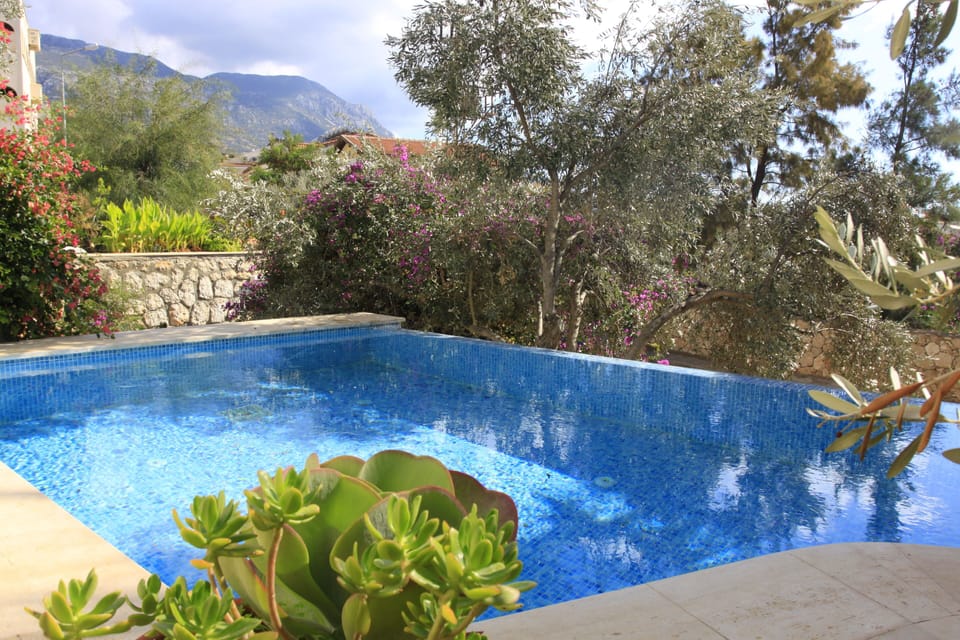 inviting pool