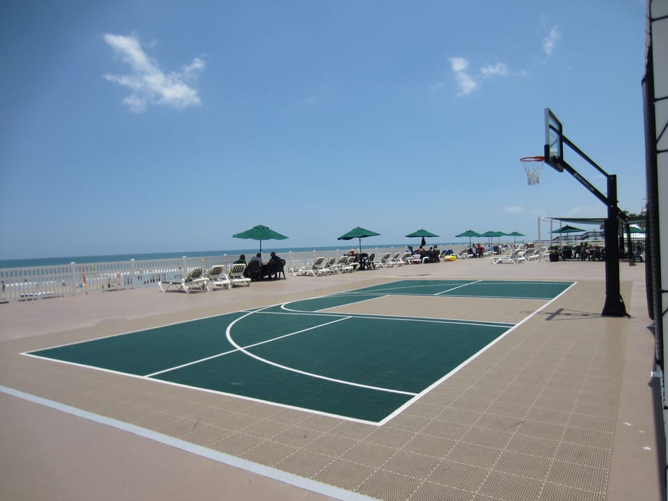 Stunning basketball court
