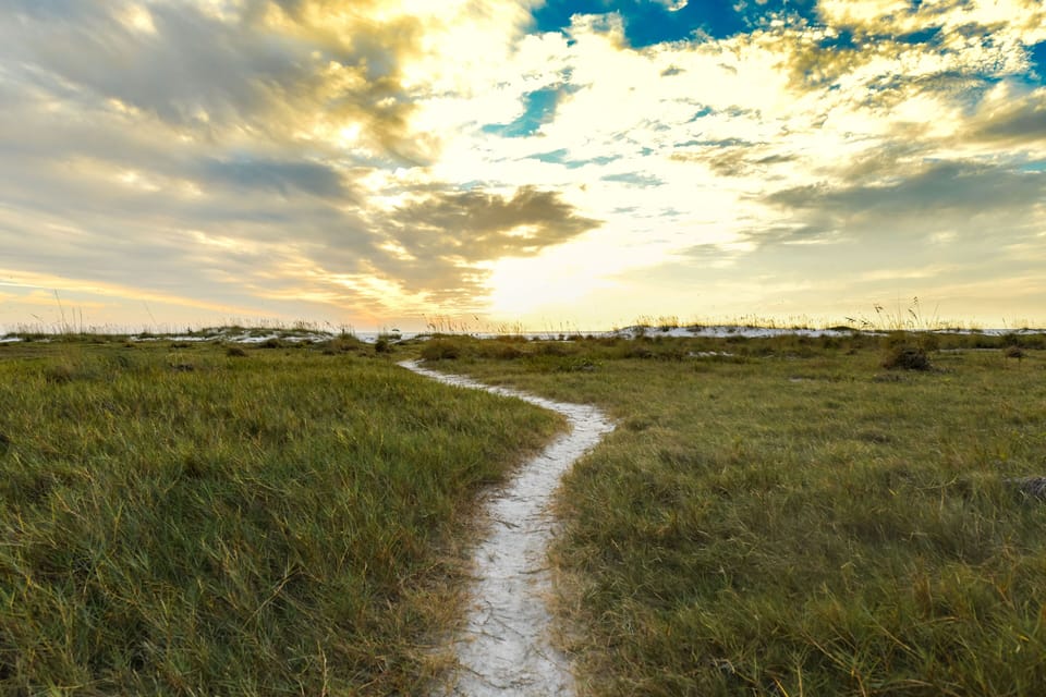 Walking path to the beach