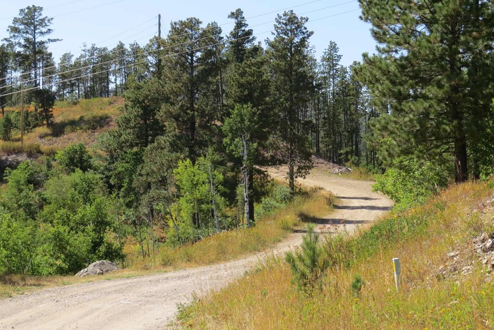 Trail off of Lost Irishman Road
