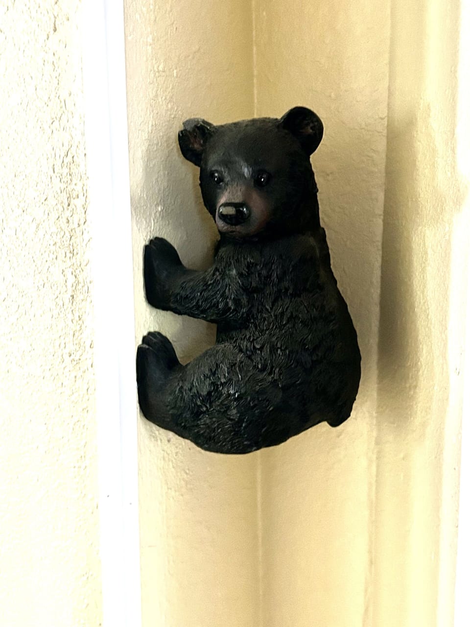 The only bear that is invited inside :)