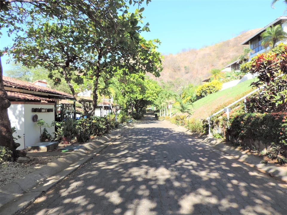 Driveway into Los Almendros