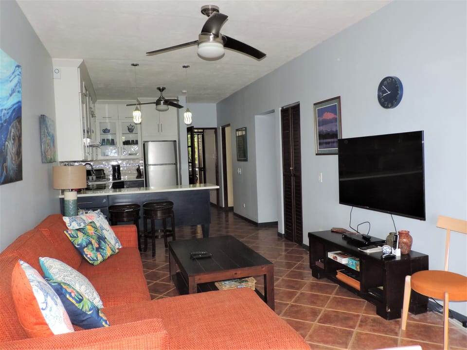 42" TV and DVD;  Adjustable bracket to view from living room, kitchen, or table.