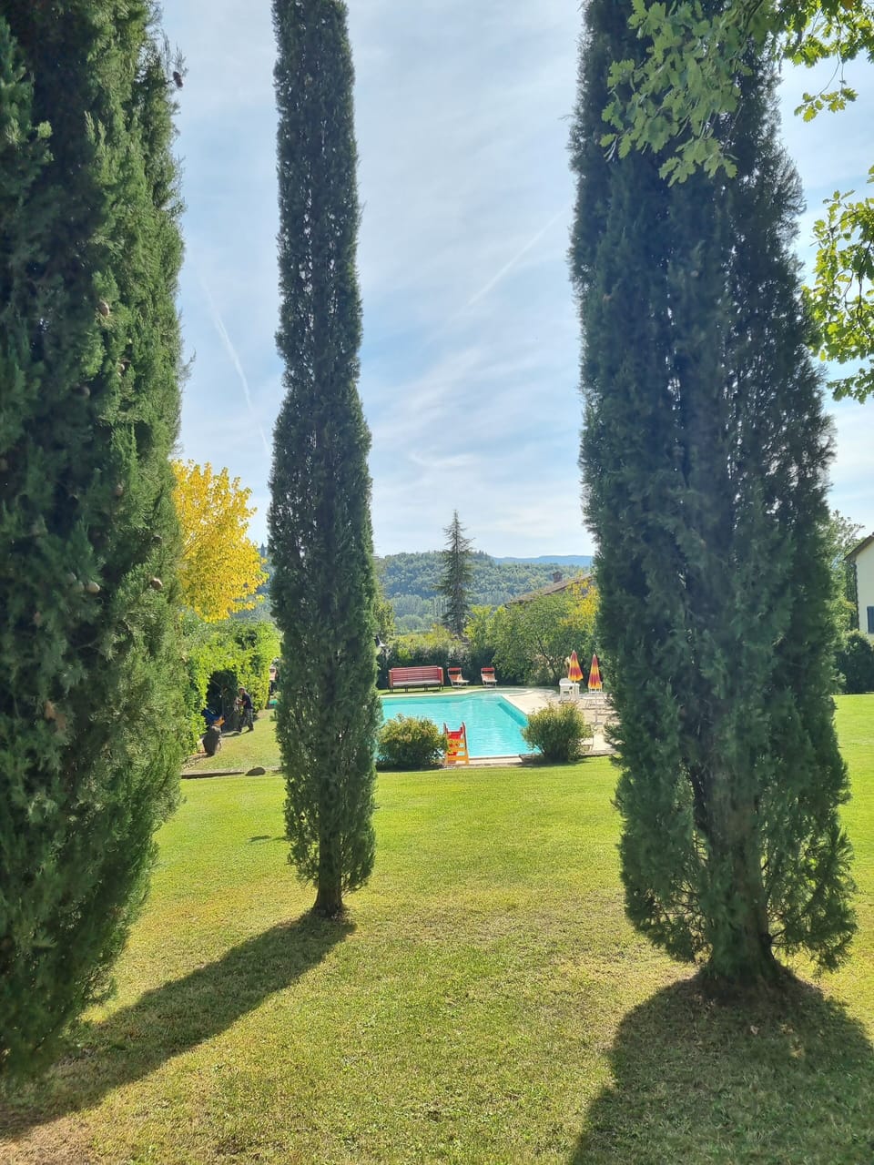 fenced garden with lawn
