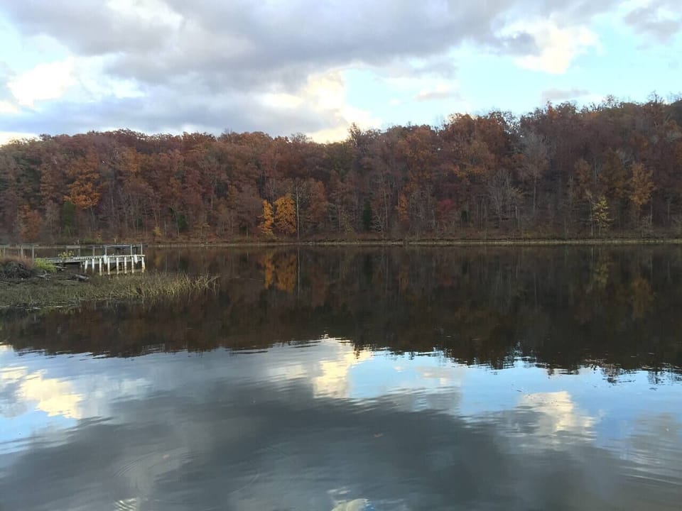 Southern IL is beautiful in the fall. 