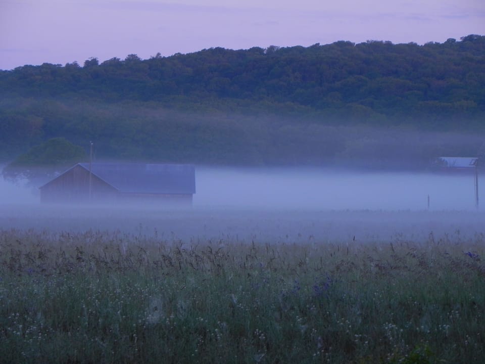Views from the Front Porch