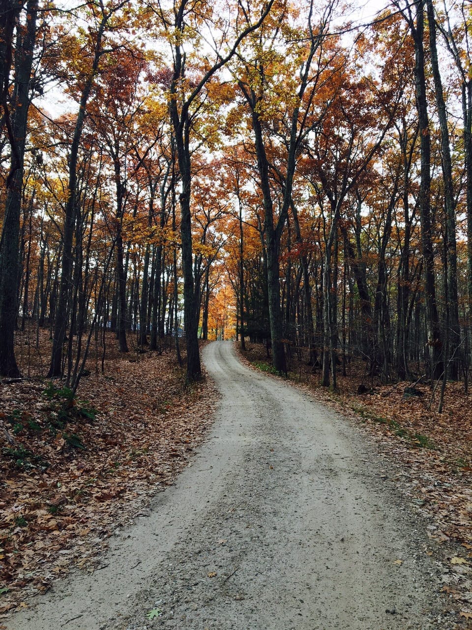 Private road to house and wraps around 3 acre wooded, private property 