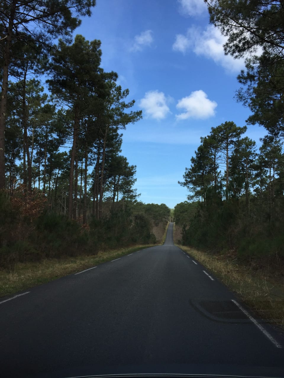 undulating beach road