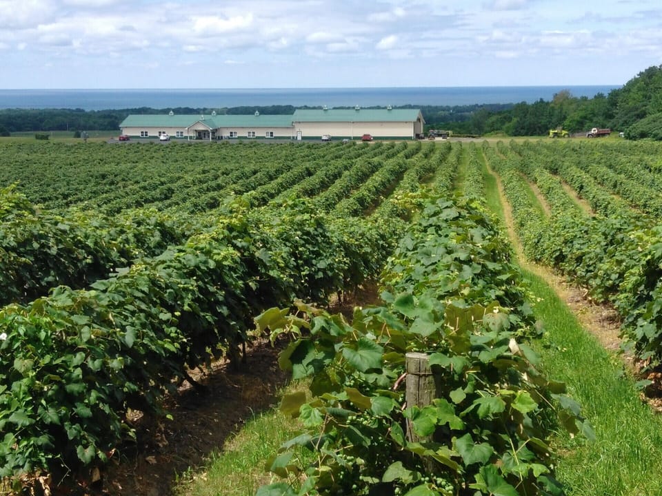 Noble Winery