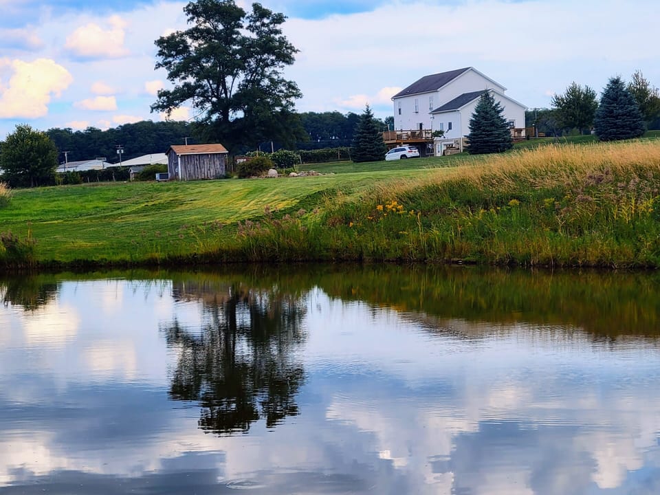pond