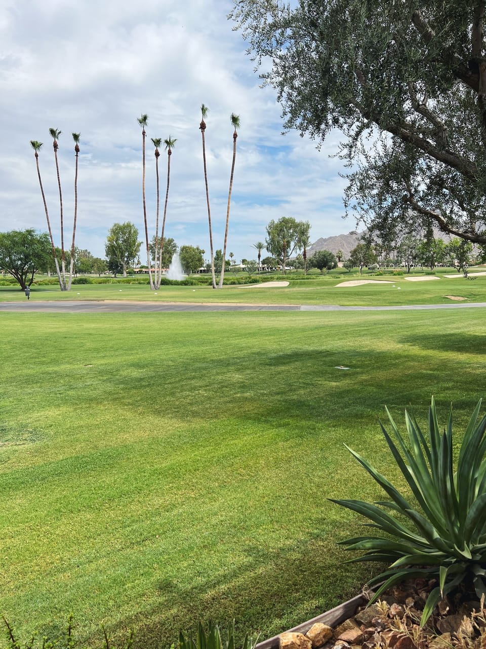 Golf