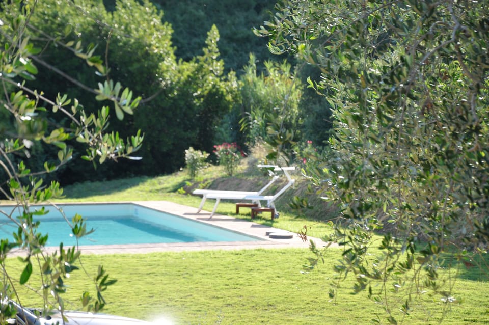 Sun and peace at the pool side. Large umbrellas available.