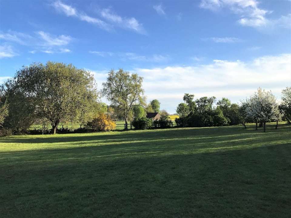 Garden [summer]