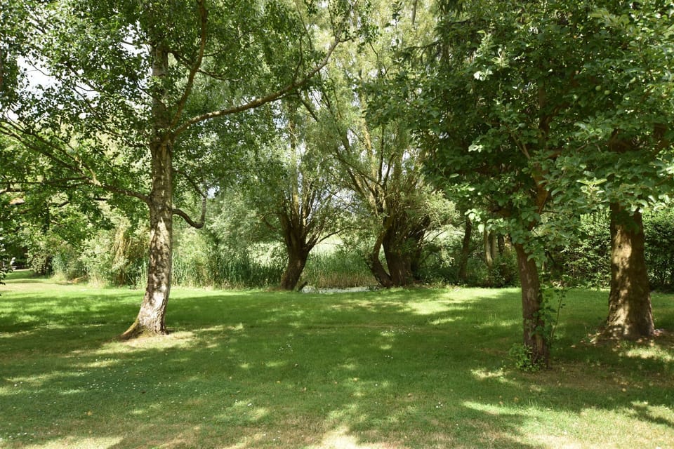 Garden [summer]