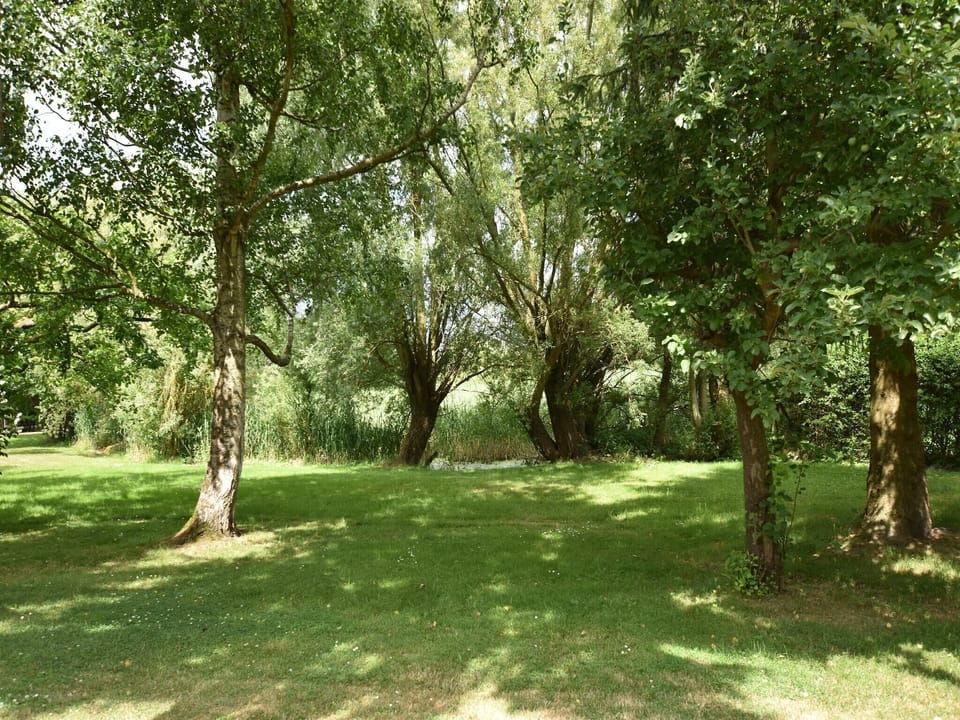 Garden [summer]
