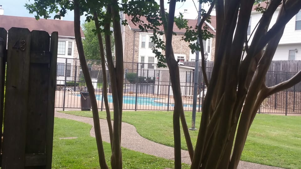 Pool off back patio