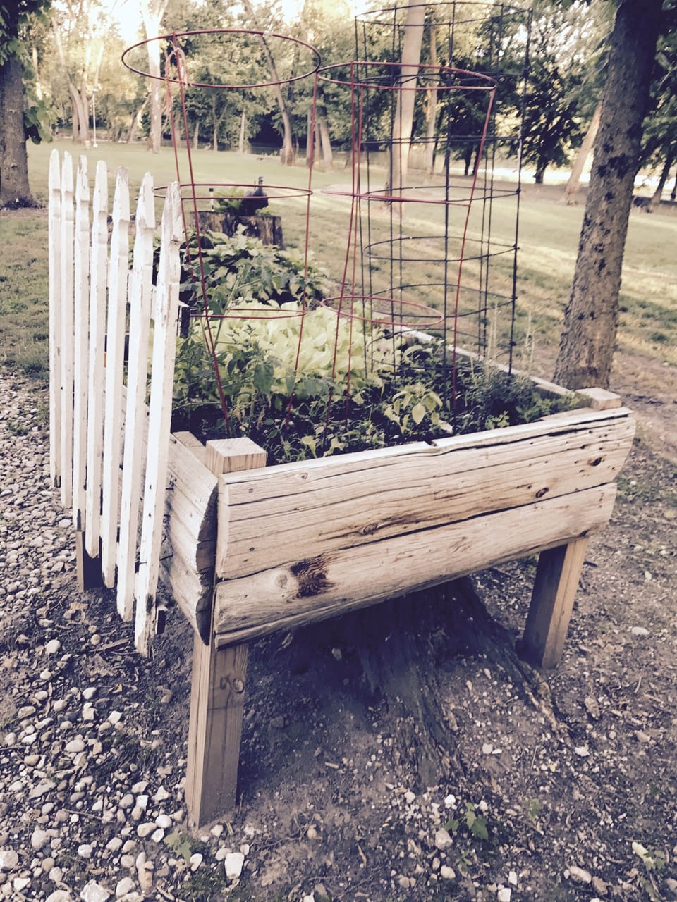 each cabin has its own raised garden with herbs 