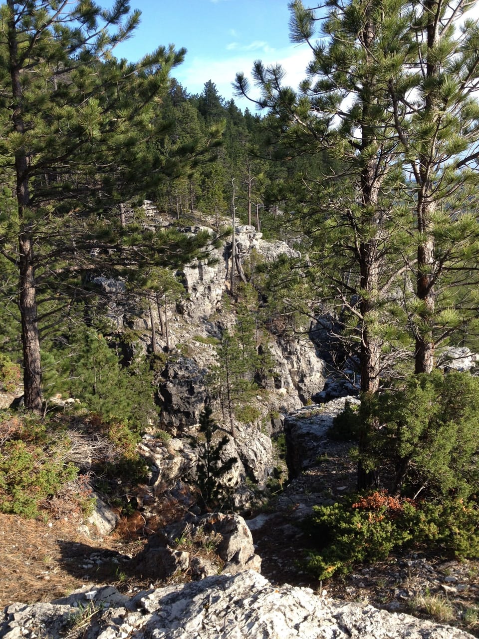 Nemo Bluff  - Photo Taken By Jordan M Blue 