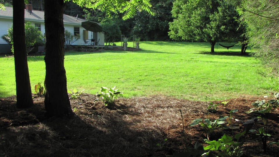 Yard large enough to throw a Frisbee, toss a ball, chase each other...