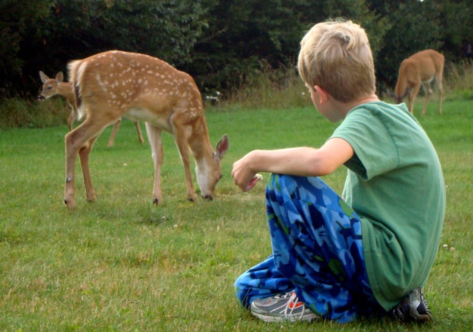 Hanging with the Neighbors