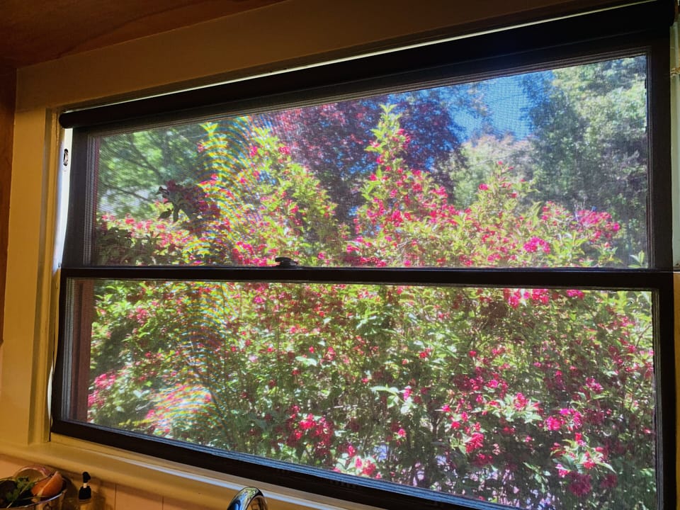 Large kitchen window providing view of the garden.