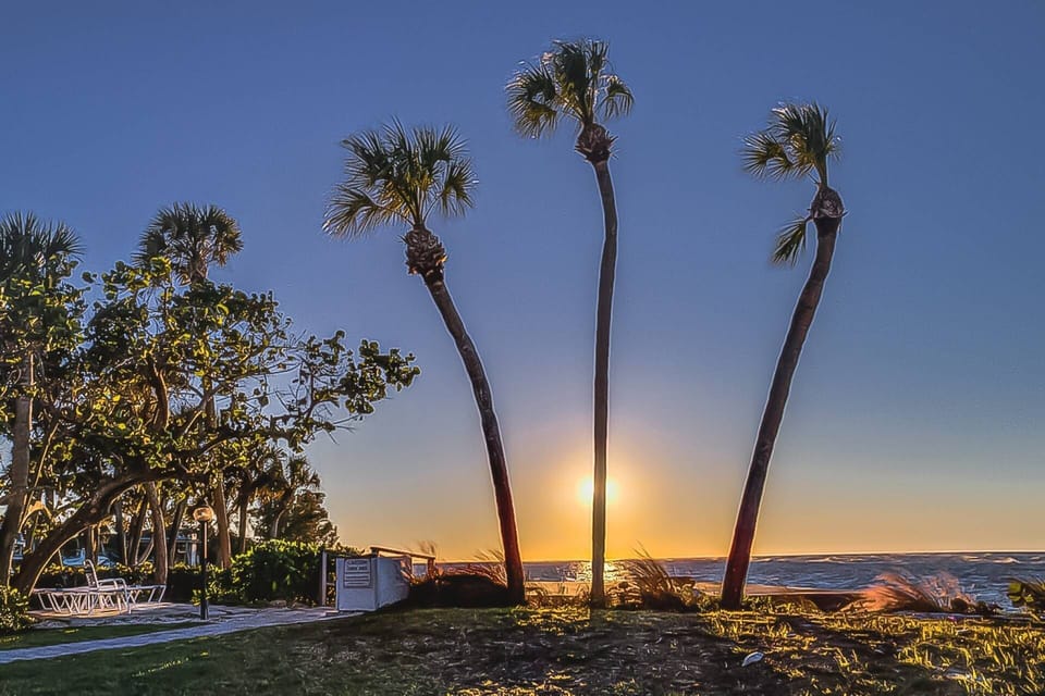 Your view anytime you like.  You'll never want to leave paradise!