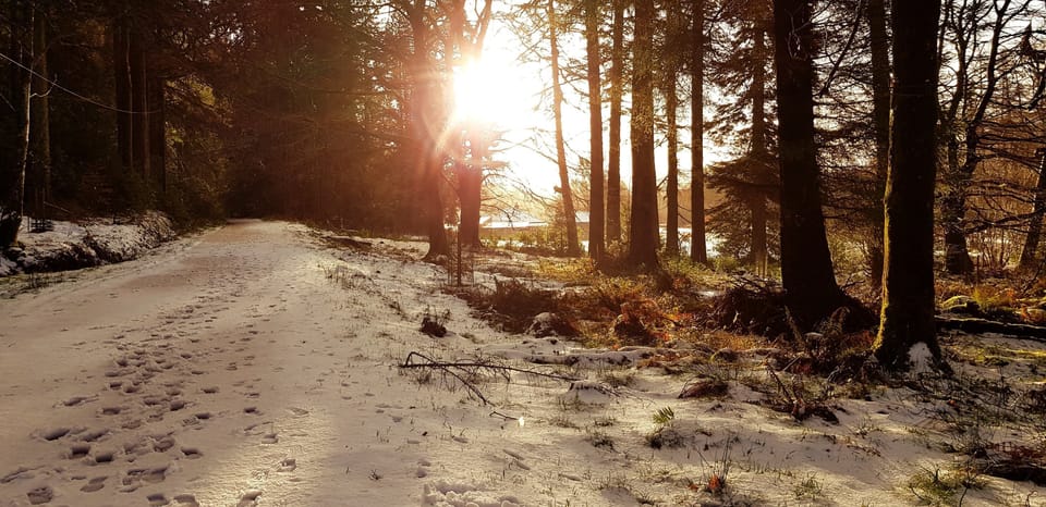 More winter scenery from Eckford House walks 
