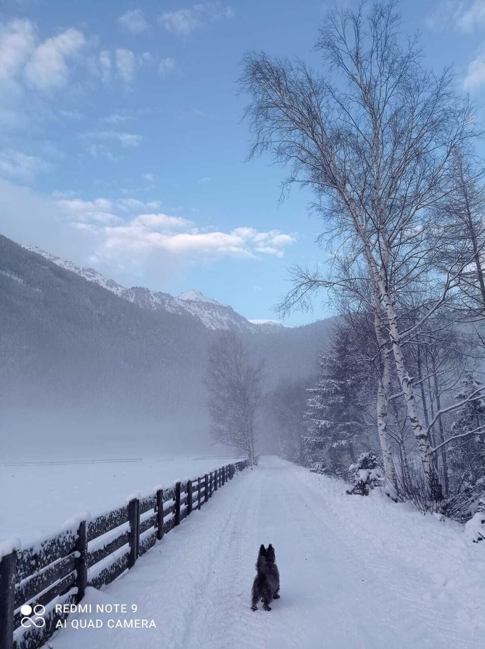 Snow and ski sports