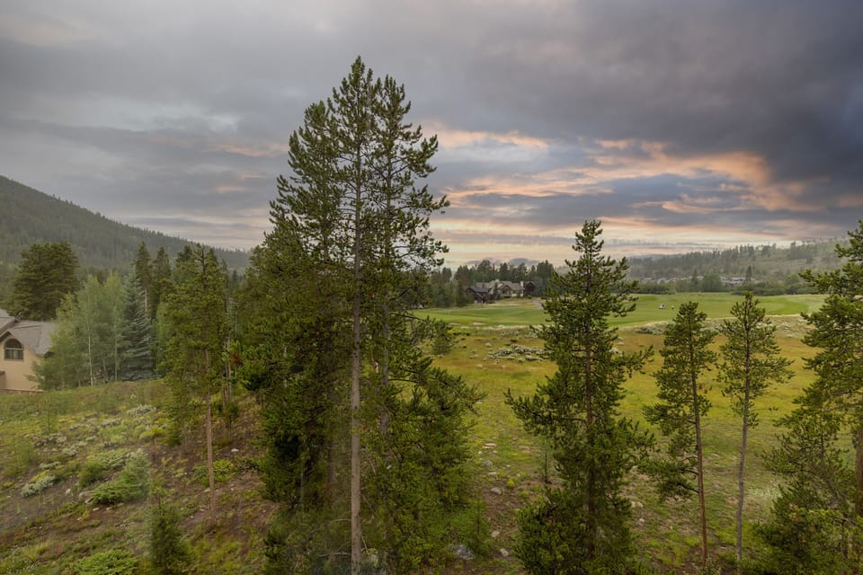 View from the window