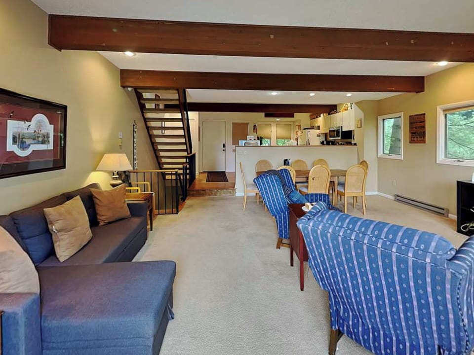Living Area w. Sleeper Sofa, Fireplace, TV