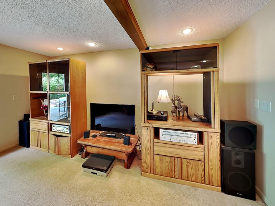 Lower Level Family Room