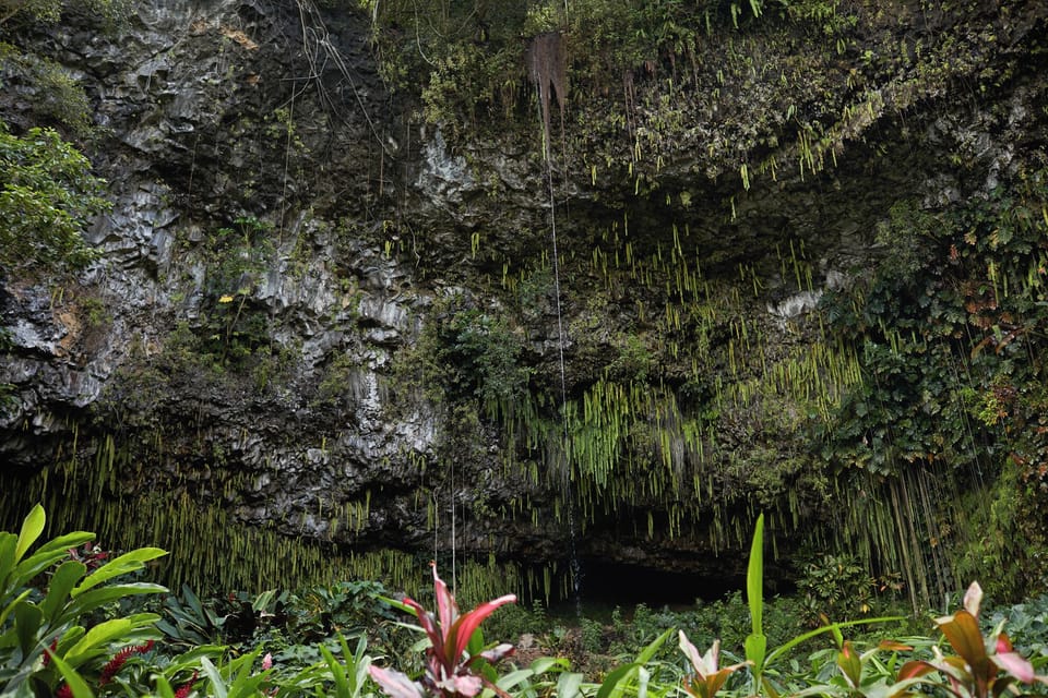 The Fern Grotto ... Credit: HTA / Daeja Fallas