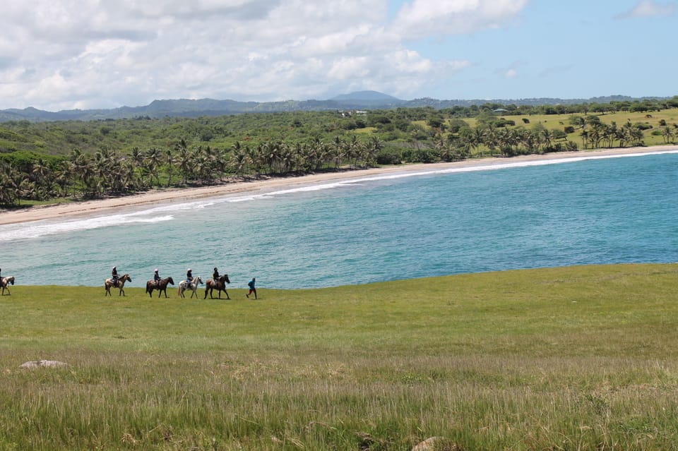 Wayne's beloved horses