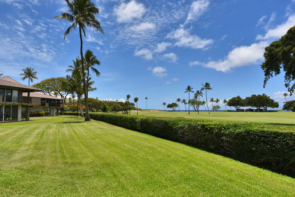 Expansive grass by the patio