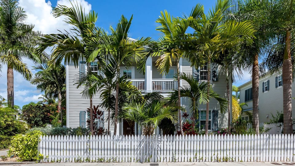 Welcome to THE IBIS & THE CRANE...