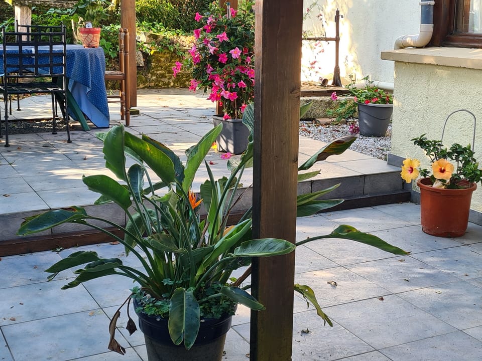 the terrace outside the lounge