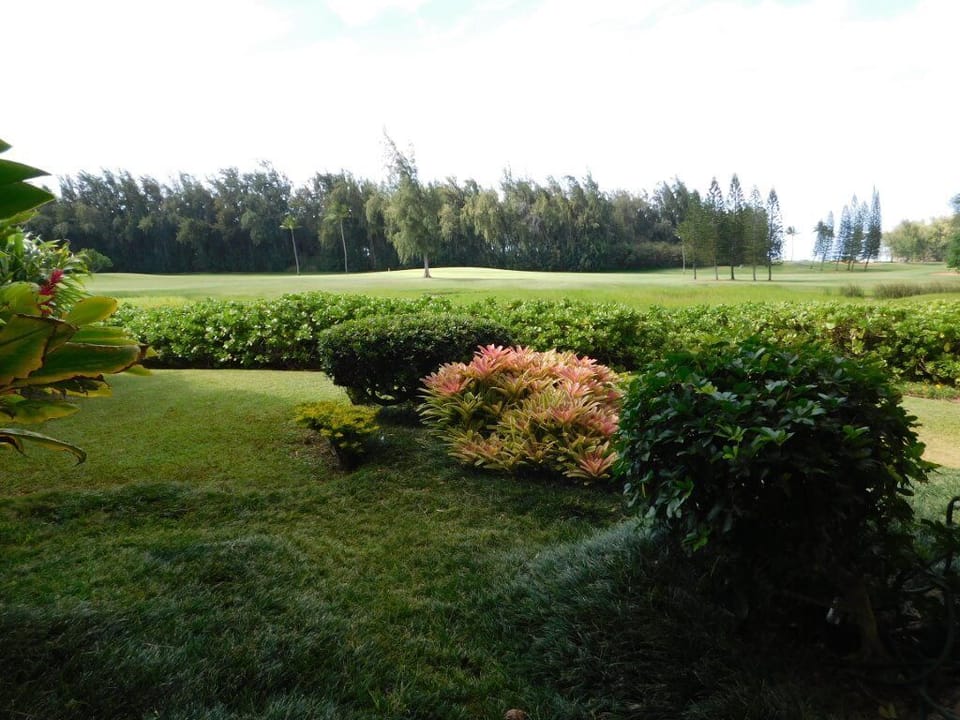 View from Lanai