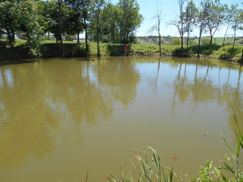 Lake