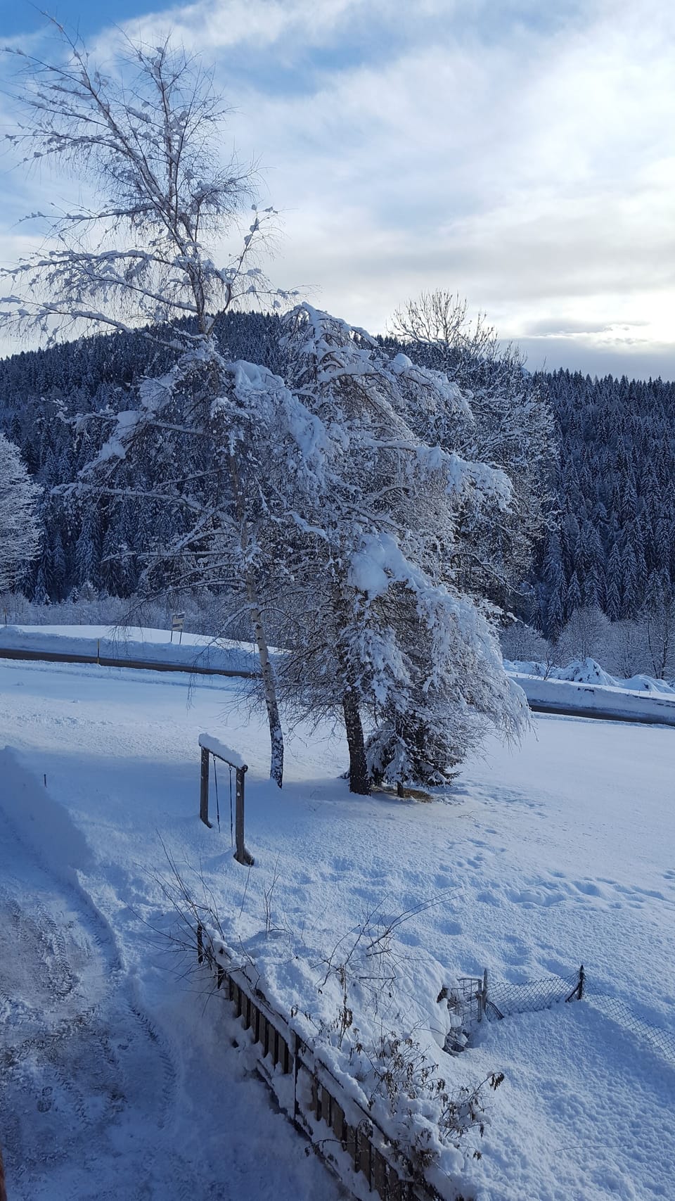 Snow and ski sports