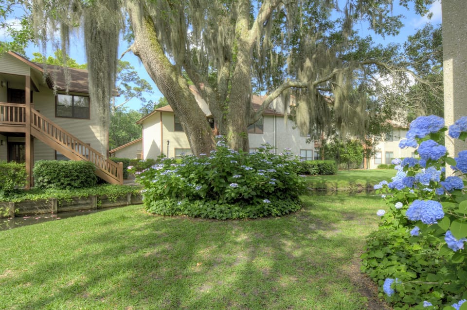 Harbour Oaks Grounds and Live Oaks - Landscaped Harbour Oaks grounds with live oaks, lawn space, and hydrangeas near the condo.